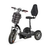 Tricycle électrique 500W pour mobilité réduite