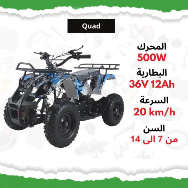 Quad électrique