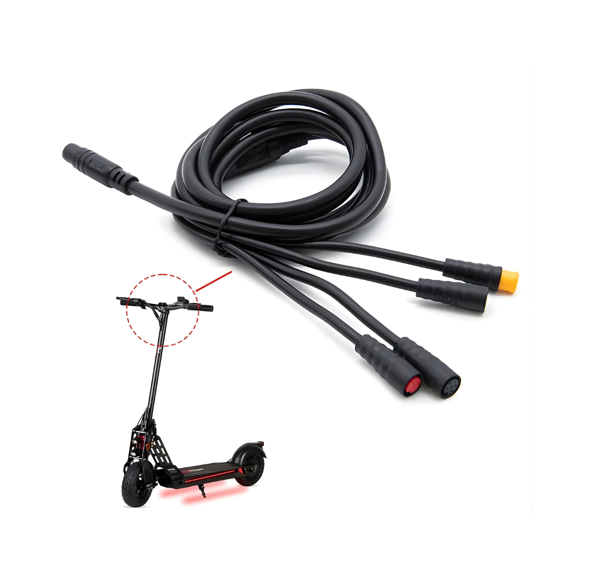 Câble de connexion Bison Câble de connexion Bison