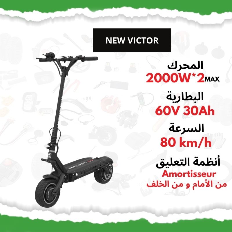 Dualtron New Victor