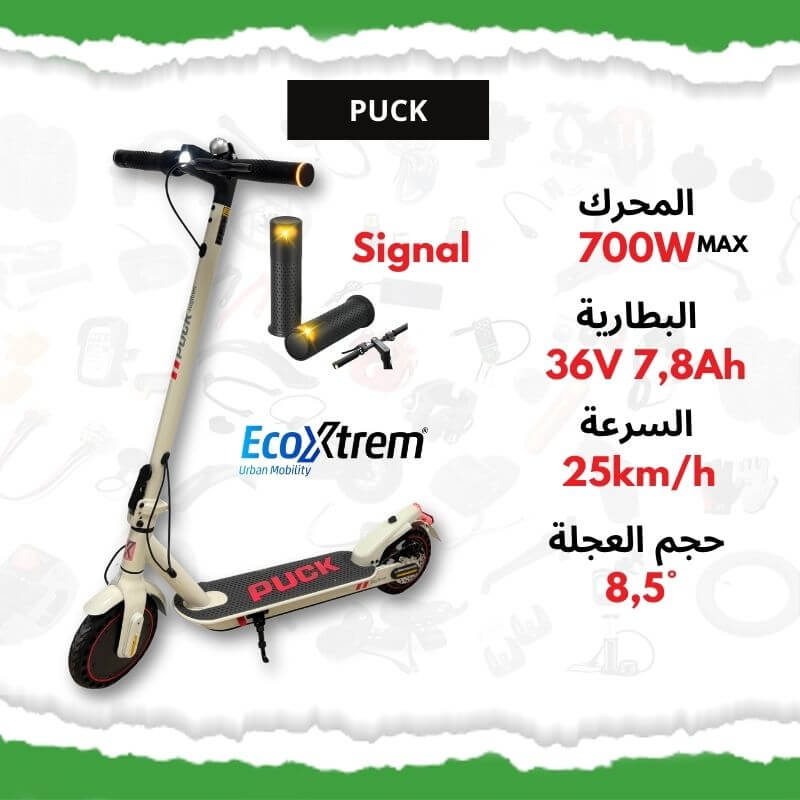 Trottinette Puck Ecoxtrem