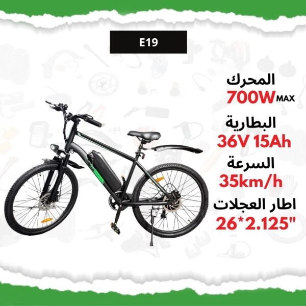 Vélo Électrique Green Moveway E19