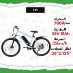 vélo électrique E19