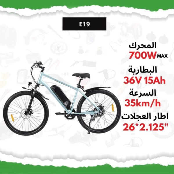 vélo électrique E19
