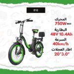Vélo électrique E12